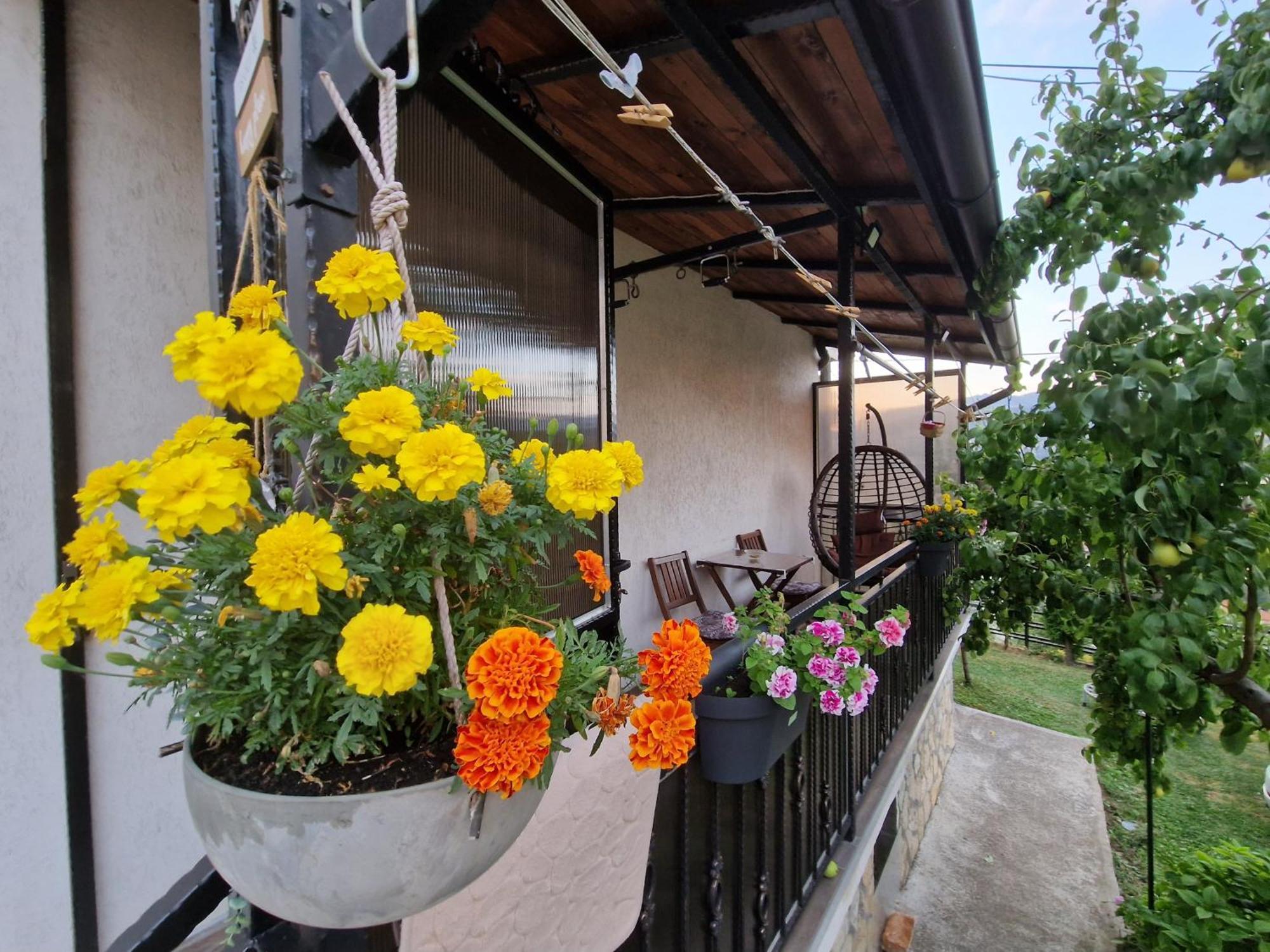 Garden Of Dreams & Free Private Parking Apartman Szarajevó Kültér fotó